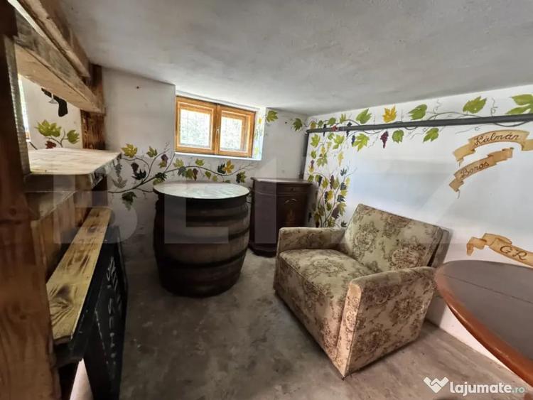 Proprietate superba in Damieni! cu potential enorm comercia - Damieni (Mures) - 12