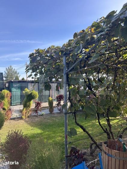 Casă cu 2 camere cu Teren 1000 Mp în Central