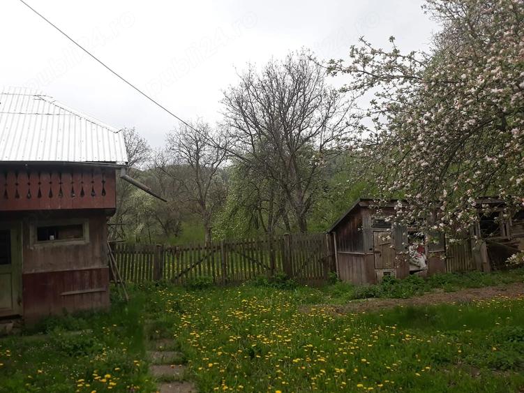 Casă cu Teren 2500 Mp în Central