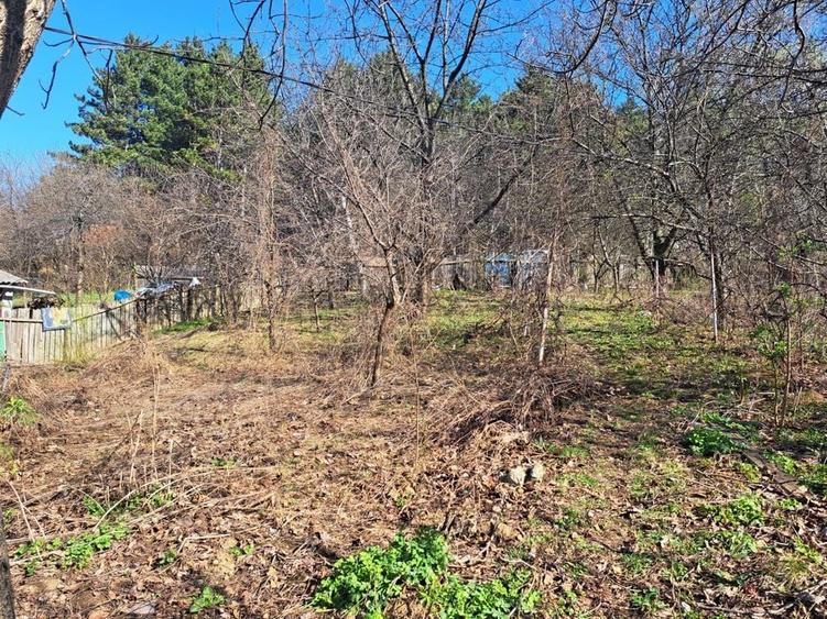 Casă cu 2 camere în Bucium