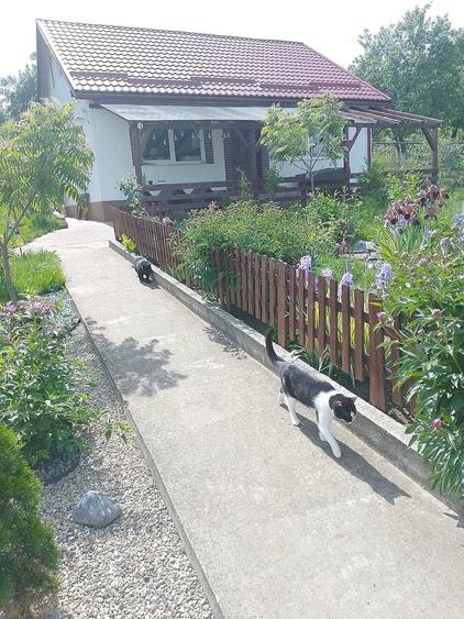 Casă cu 3 camere cu Teren 4434 Mp în Geaca