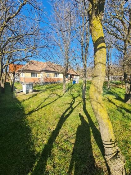 Casă individuală cu 2 camere cu Teren 2589 Mp în Rediu