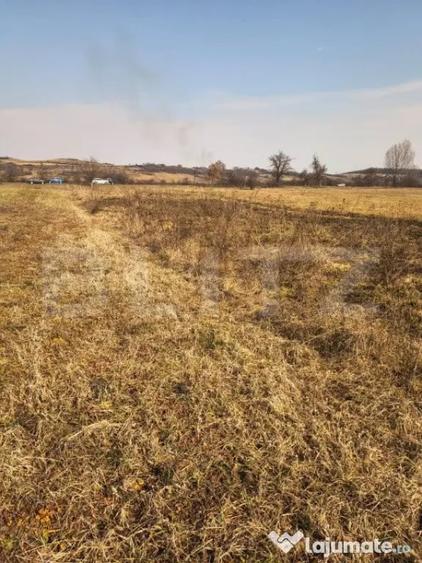 Teren de 4000 mp, în Central