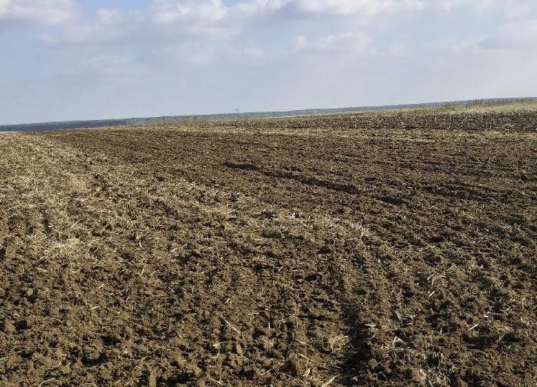 Teren de 3000 mp, în Vârvor