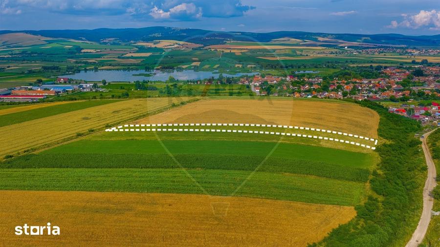Oportunitate pentru fermieri: 10.800 mp teren arabil in Rotbav, Bra?ov - 7