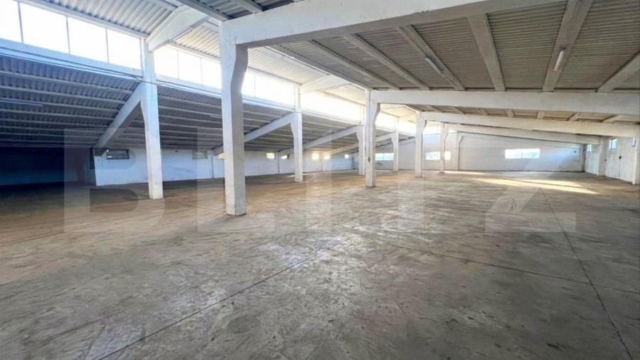Spațiu industrial, de 4,200 mp, în Blaj