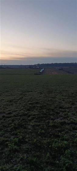 Teren Construcții intravilan de 10471 mp, în Cordău