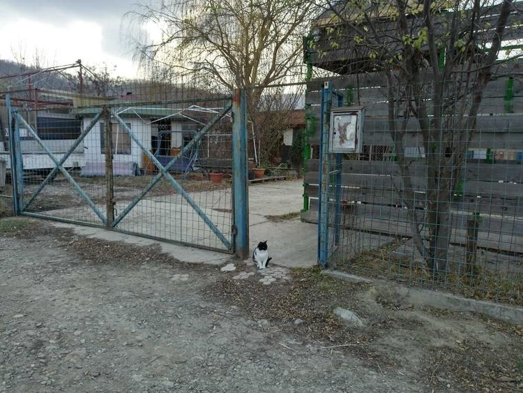 Spațiu comercial, în Vlădiceni