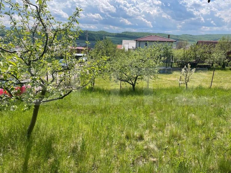 Teren Construcții intravilan de 494 mp, în Dâmbul Rotund
