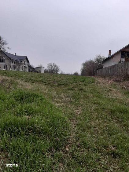 Teren de 6920 mp, în Dărmănești