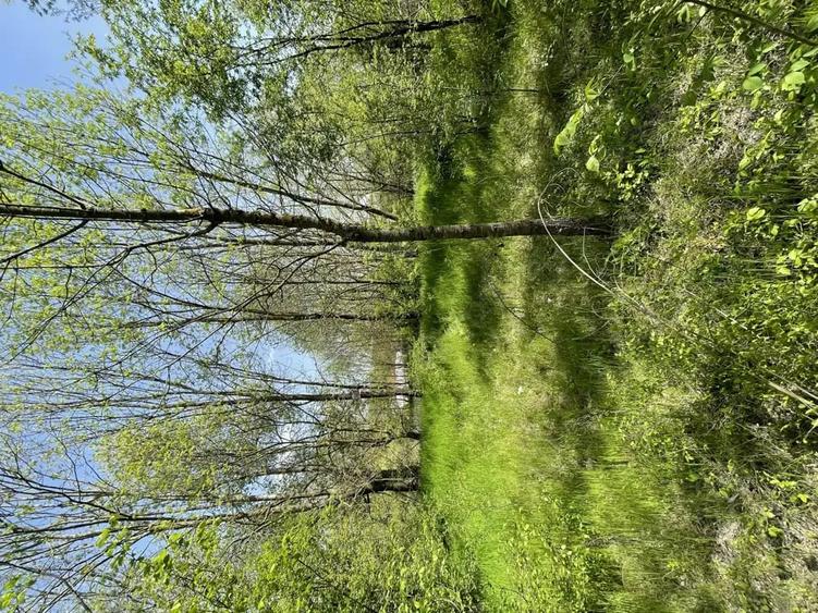 Teren de 5000 mp, în Valea Părului