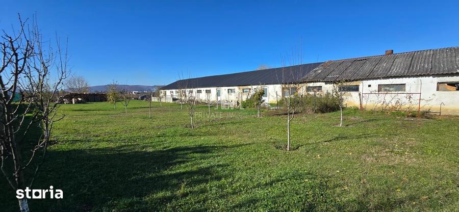 Teren de 1000 mp, în Albești