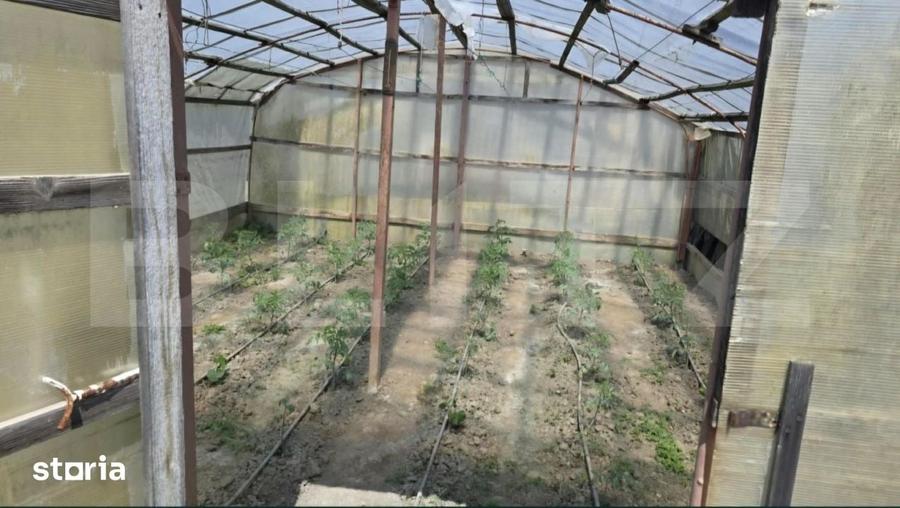 Casă cu 4 camere cu Teren 1128 Mp în Provița de Jos