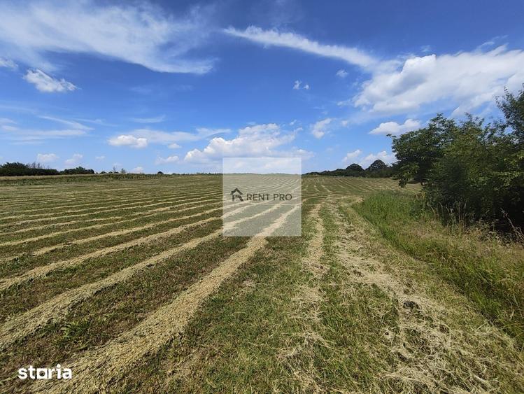 Teren de 11000 mp, în Clejani