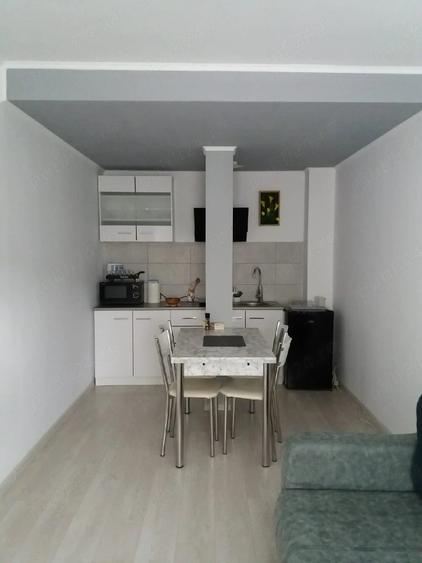 Apartament cu 2 camere nedecomandat în Poiana Țapului