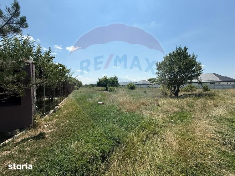 Teren de 5000 mp, în Tamași