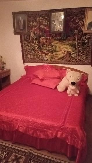 Casă cu 4 camere în Schela Cladovei