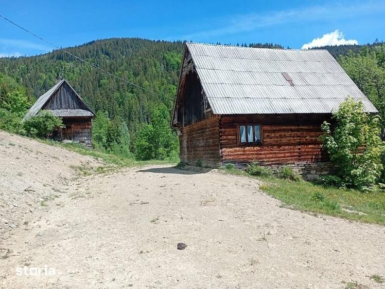 Casă cu 3 camere cu Teren 22000 Mp în Albac