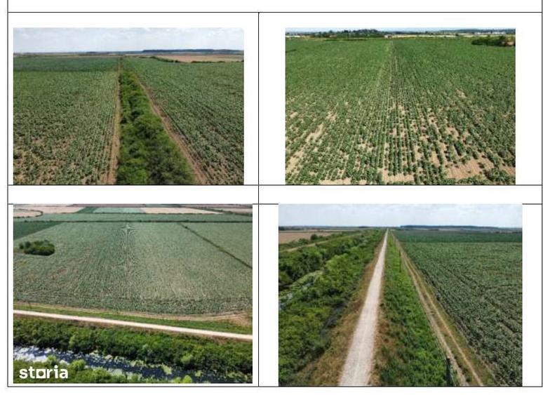 Spațiu comercial, în Vărșand