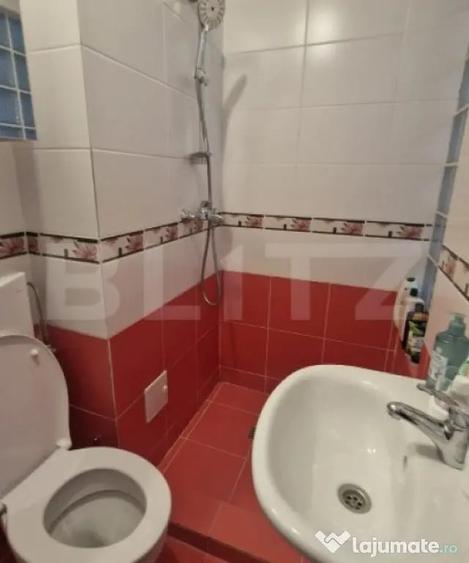 Casă cu 3 camere cu Teren 109 Mp în Craiter