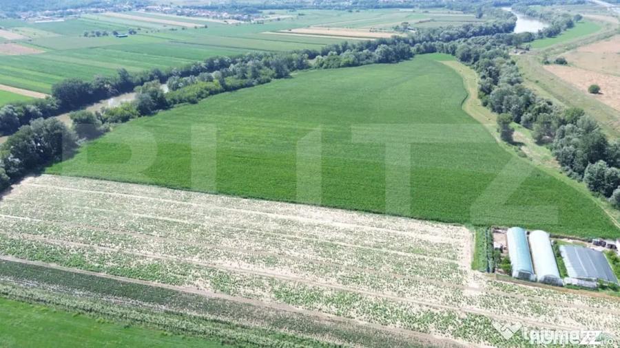 Teren extravilan 14.000 mp, Drambar Ciugud | solarii, f - 14