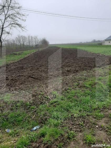 Teren Construcții intravilan de 3600 mp, în Dorohoi