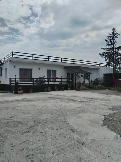 Spațiu comercial, de 420 mp, în Mintia