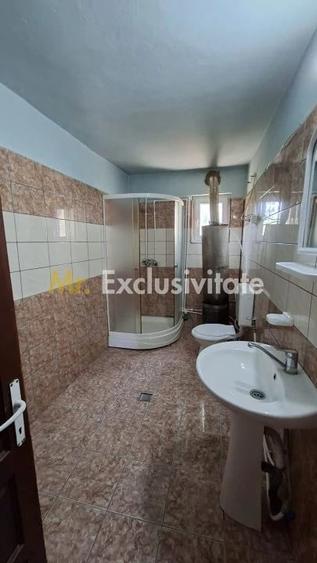 Casă cu Teren 1667 Mp în Teiu