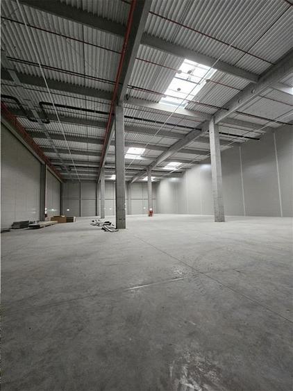 Spatiu Industrial - 3500 mp - Logistica - Productie - Depozitare - Distributie - 9