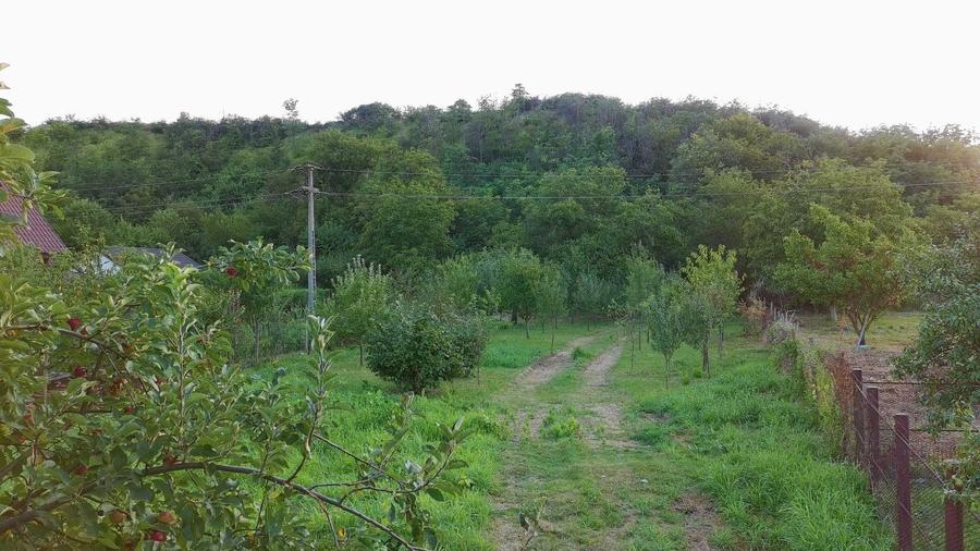 Teren de 3570 mp, în Vernești