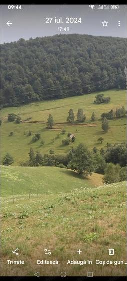 Teren de 10000 mp, în Moieciu