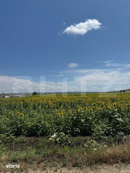 Teren de 20000 mp, în Moldovenești