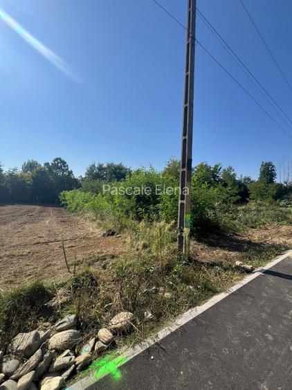 Teren intravilan de vânzare – Valea Avrigului | deschidere la șosea asfaltată