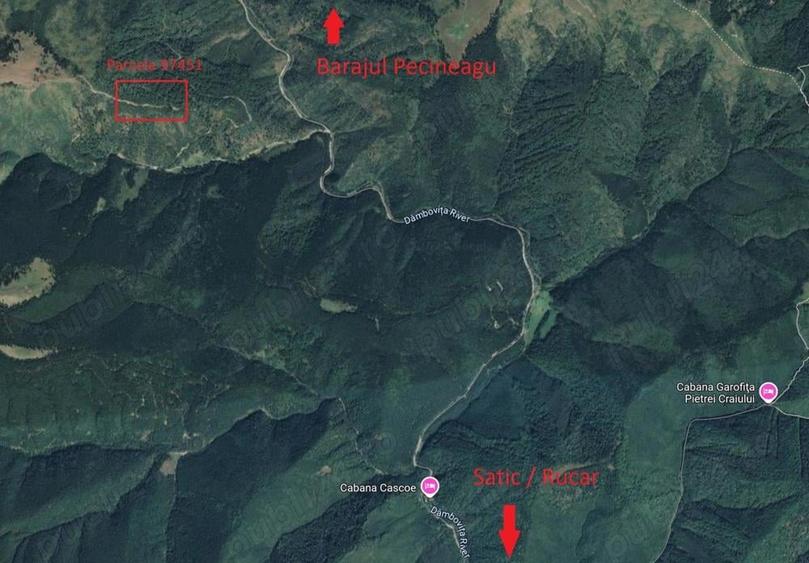 Teren de 50000 mp, în Rucăr