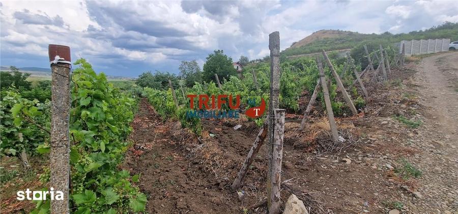 Teren de 1400 mp, în Ighiu