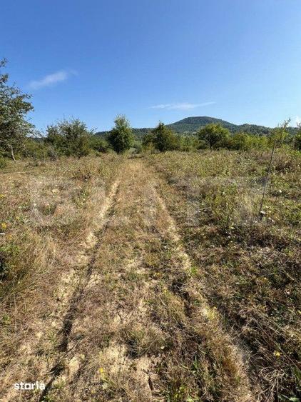 Teren extravilan, 15 arii, pretabil pentru investitii, construibil - 5
