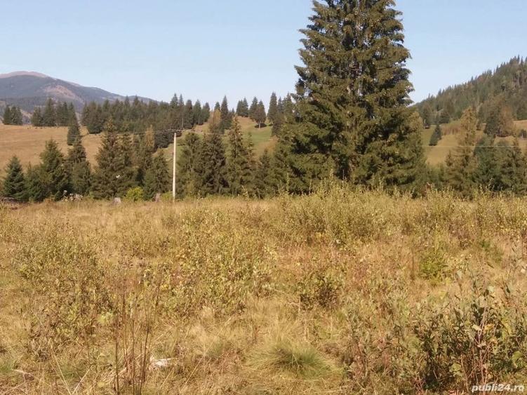 Teren de 21500 mp, în Ortoaia