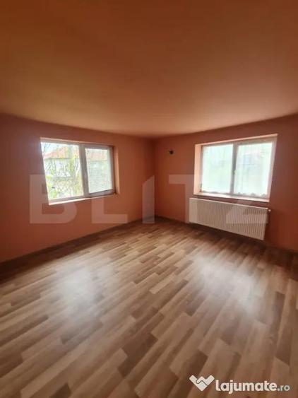 Casa individuala si 5.500 mp de teren intravilan, loc. Sanpa - 10