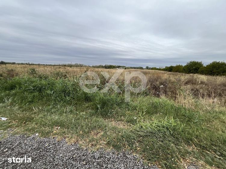 Teren de 15000 mp, în Sud
