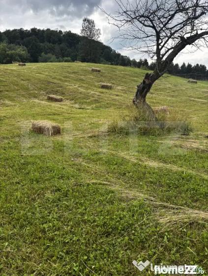 Teren intravilan, Buc?oaia - Frasin, 9000 mp - 4