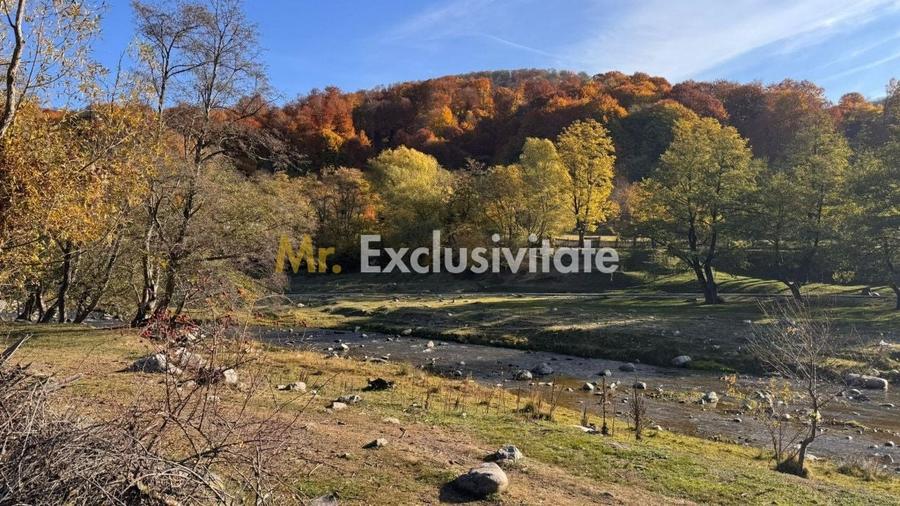 Teren Construcții intravilan de 7500 mp, în Sălătrucu