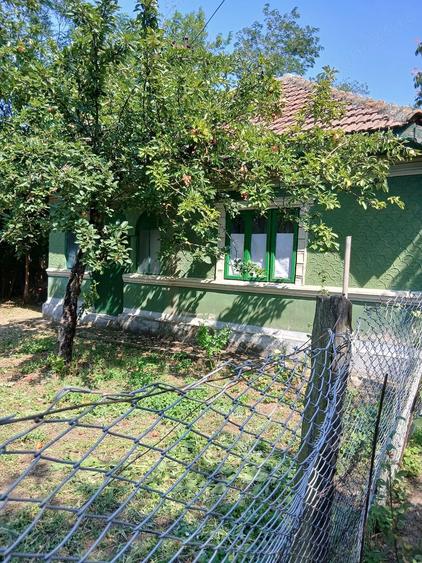 Casă cu Teren 1700 Mp în Dănești