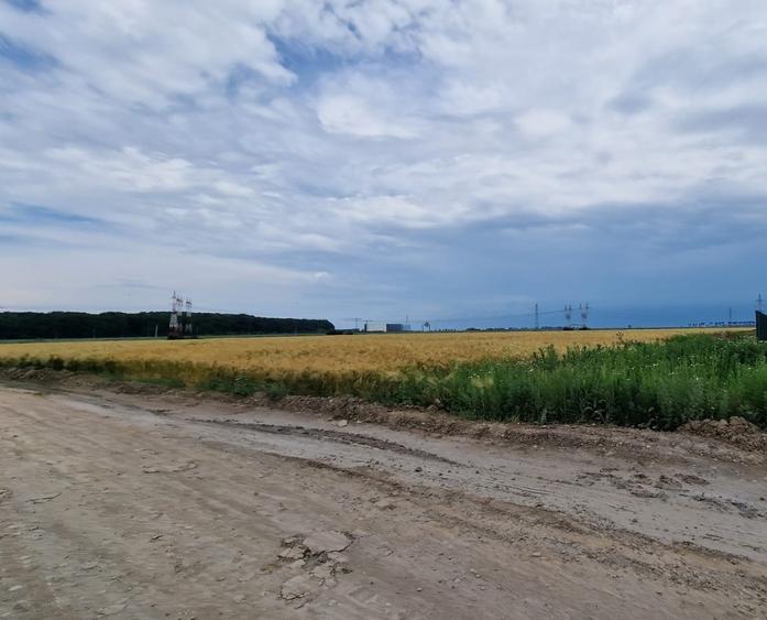 Teren Construcții intravilan de 30000 mp, în Ștefăneștii de Jos