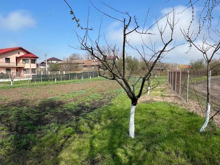 Casă cu 3 camere cu Teren 1476 Mp în Gruiu