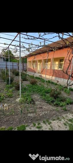 Casă cu 3 camere în Central