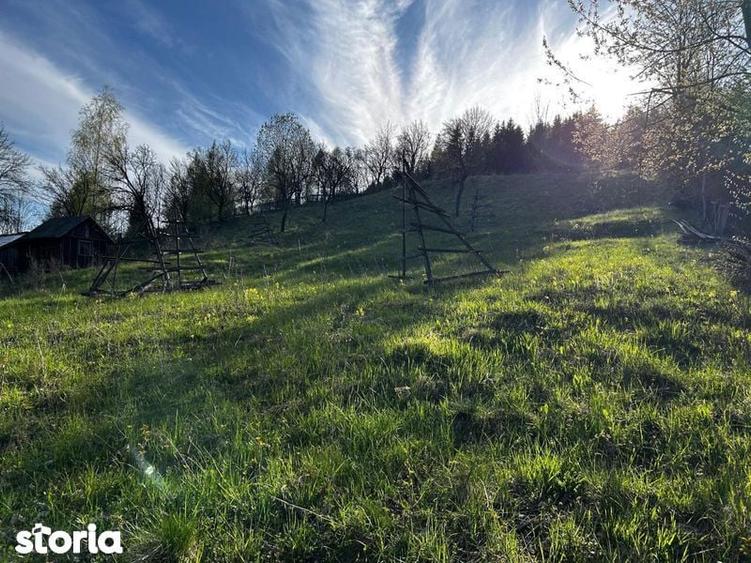 Teren de 2500 mp, în Valea Doftanei