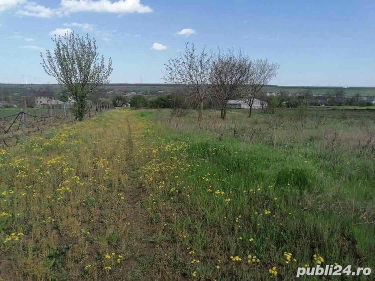 Teren de 2 mp, în Valea Mărului