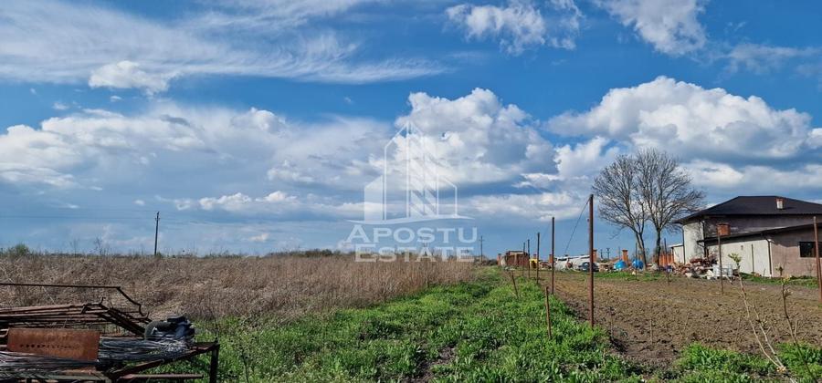 Teren Construcții intravilan de 1700 mp, în Sacoșu Turcesc