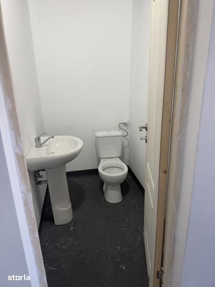 Spațiu comercial, de 310 mp, în Sohatu