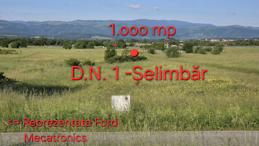 Spațiu comercial, în Șelimbăr